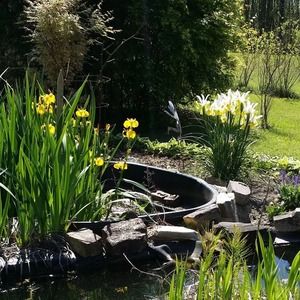 Meet your Posher, Regina